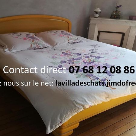La Villa Des Chats Andrésy エクステリア 写真