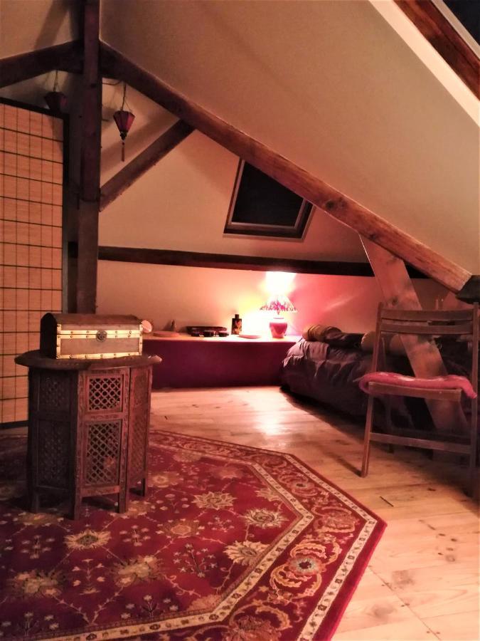 La Villa Des Chats Andrésy エクステリア 写真