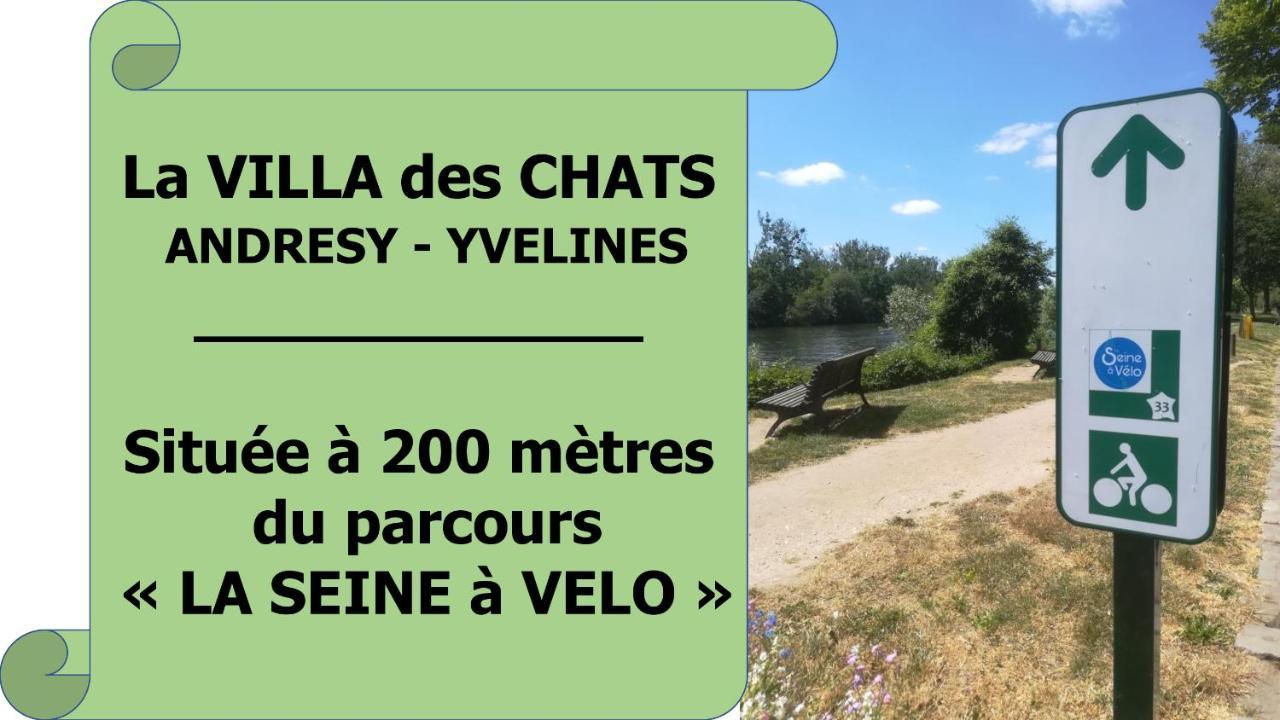 La Villa Des Chats Andrésy エクステリア 写真