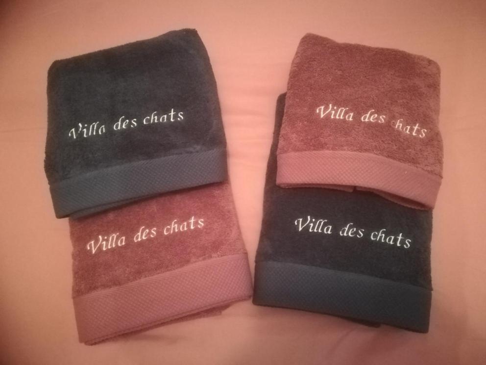 La Villa Des Chats Andrésy エクステリア 写真