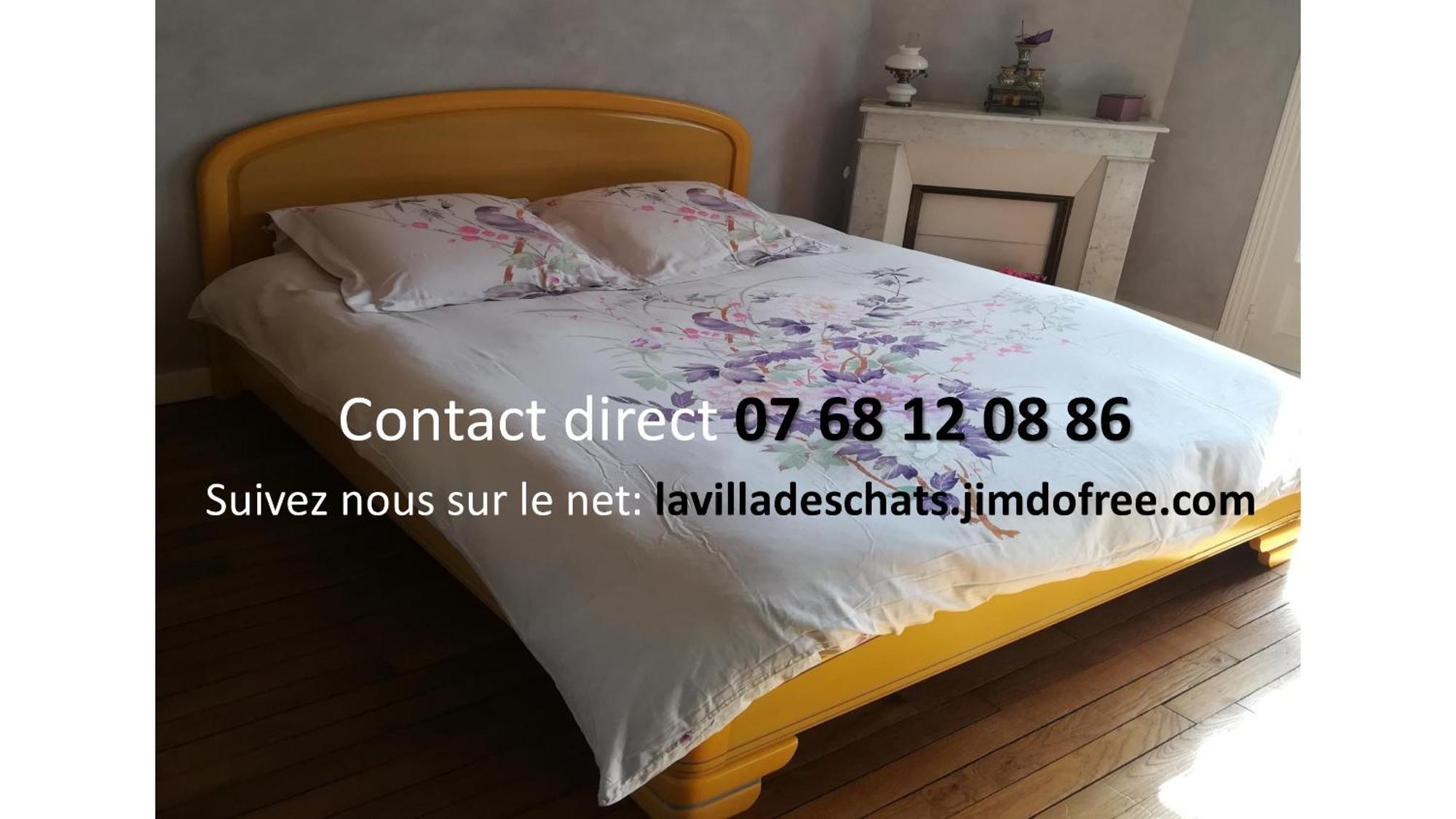 La Villa Des Chats Andrésy エクステリア 写真